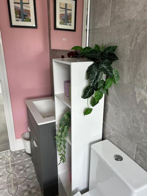 Three Storey Clifton Town House 브리스틀 외부 사진